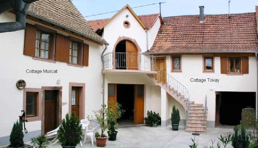 Gites Le Tokay Et Le Muscat Gertwiller Oda fotoğraf